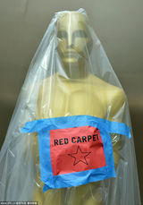 组图：奥斯卡红毯小金人奖杯夺目 群星蓄势待发