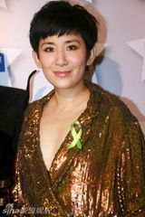 幻灯图：2009《娱乐大典》红毯星光闪烁