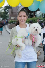 组图：林忆莲出席狗狗同乐日 陈嘉桓呼吁领养