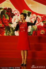 组图：宋祖英献唱两会文艺演出 韩红激昂高歌