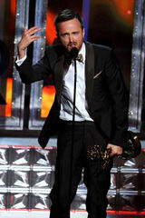 组图：《绝命毒师》艾伦-保罗再获剧情类最佳男配角