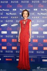 组图：鲁豫亮相红毯 穿蕾丝旗袍身形消瘦