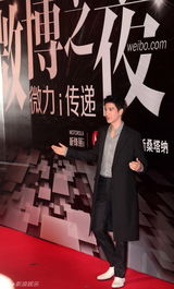 组图：2012新浪微博之夜红毯-王力宏介绍活动