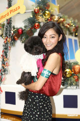 高清组图：诗雅携带爱犬出席关爱宠物活动