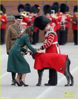 组图：凯特王妃华贵绿裙与威廉王子盛装亮相