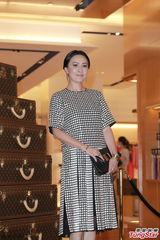 组图：刘嘉玲优雅亮相艺术展 否认手持8亿物业