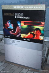 组图：张国荣离世九周年 粉丝不同形式表怀念