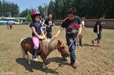 组图：于谦亲自为小朋友牵马 马场名贵品种曝光