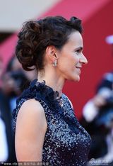 组图：法国文化部长费利佩蒂蓝裙亮相红毯