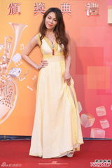 群星亮相金曲奖红毯 蔡依林美腿梁静茹性感(图)