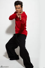 组图：唐文龙发功夫写真 习咏春多年驾轻就熟