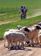 2013铁木真国际山地车挑战赛开幕