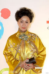 幻灯图集：王菲再现招牌烟熏妆 刘嘉玲黄色唐装雷人