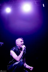 组图：Neon Trees献唱MTV World Stage马来西亚站