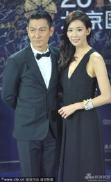 组图：《富春山居图》刘德华林志玲郎才女貌