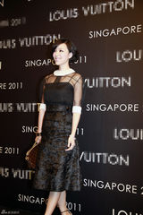 组图：张静初新加坡典雅亮相 遇发哥言笑甚欢