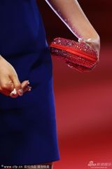 组图：王宝强戛纳红毯跪地示爱激吻娇妻