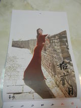 组图：林志玲2013年慈善年历曝光