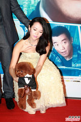 组图：章子怡抱爱犬走红毯 关颖露美背性感抢镜
