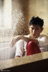 盘点：吴奇隆2013大片集锦 不老男神风格迥异