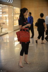 组图：朱洁仪将赴台办画展担心运画成本