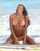 组图：超模亚历山大比基尼咸湿 跪沙滩展傲人身姿