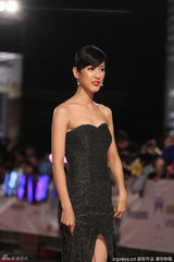 组图： 陈怡嘉高开衩礼服亮相红毯秀美腿