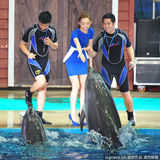 组图：范玮琪性感亮相西安 与海豚亲密互动