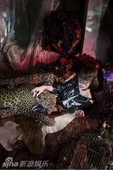 组图：大岛优子毕业解放 性感黑薄纱露圆规奶