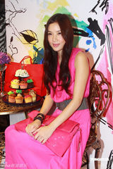 组图：乐基儿曼妙长裙亮相 暂不生BB拒人工受孕