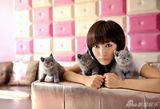 幻灯图集：王珞丹拍宠物写真 仿猫咪表情俏皮可爱