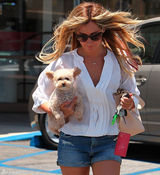 组图：阿什丽-提斯代尔街拍宠物狗抢镜