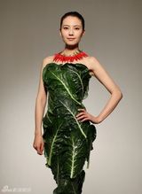 组图：高圆圆拍公益广告 穿“蔬菜礼服”倡导素食