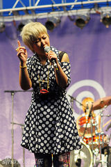 幻灯组图：海淀公园音乐街倾情演绎免费流行音乐周