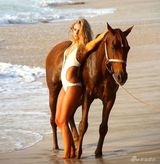 组图：小野猫金伯利海滩写真 骑骏马展野性诱惑