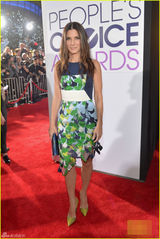 组图：第40届人民选择奖星光熠熠 小罗伯特现身