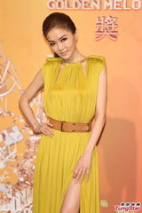 群星亮相金曲奖红毯 蔡依林美腿梁静茹性感(图)