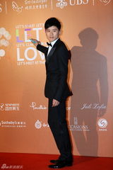 群星闪耀嫣然基金晚宴 王菲旗袍装与李亚鹏恩爱