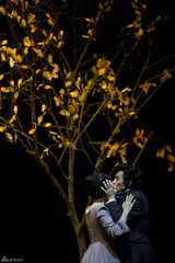 幻灯：话剧《简爱》再度登场 陈数王洛勇绝美演绎