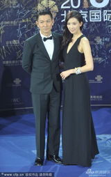 组图：《富春山居图》刘德华林志玲郎才女貌