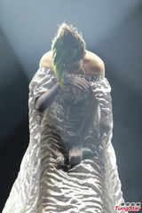 组图：汤宝如红磡体育馆开唱众星捧场