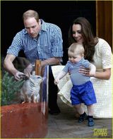 组图：威廉夫妇参观动物园 小王子与兔兔玩耍