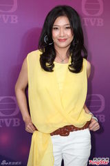 组图：李若彤李丽珍陈慧珊亮相曾志伟新剧发布