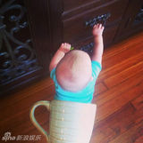 组图：杯子宝宝创意照走红 妈妈齐呼卡哇伊