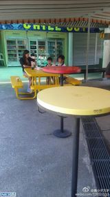 组图：张柏芝带儿子游玩 兄弟紧跟妈妈亲密无间