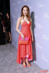 组图：钟楚红张曼玉同台亮相 全智贤露香肩