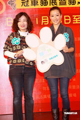 幻灯图集：谢婷婷优雅着装亮相 携爱猫参加活动