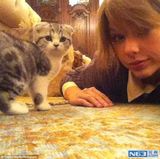 组图：斯威夫特穿激萌小猫鞋 头戴礼帽个性十足
