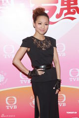 组图：江若琳郑融等助阵慈善筹款晚会