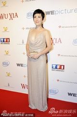 高清组图：《武侠》映前派对 甄子丹汤唯金城武亮相